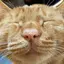 Ricaのプロフィール画像