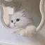 nのプロフィール画像