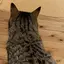 ゆうかのプロフィール画像