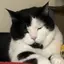 はるおのプロフィール画像