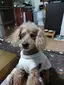 ちゅらのプロフィール画像