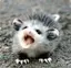 じゅんこのプロフィール画像