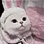 みずきのプロフィール画像