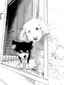 かなのプロフィール画像