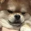 しずくのプロフィール画像