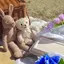 Ayaのプロフィール画像