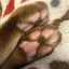 レモンのプロフィール画像