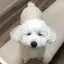 ちむのプロフィール画像