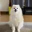 れなのプロフィール画像
