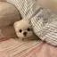 리のプロフィール画像