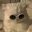 アリのプロフィール画像