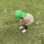 はなのプロフィール画像