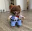 SHIROのプロフィール画像