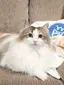 明香のプロフィール画像