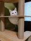 ゆきちのプロフィール画像
