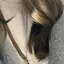 ぬぬっのプロフィール画像