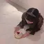 kiraraのプロフィール画像