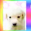 ぴのプロフィール画像