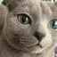 ちちちのプロフィール画像