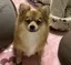 Katyのプロフィール画像