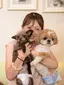 TOMOMIのプロフィール画像