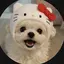こののプロフィール画像