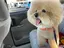 namiのプロフィール画像