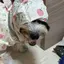 kxnのプロフィール画像