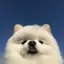 ブンオパンのプロフィール画像