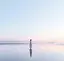 Rのプロフィール画像