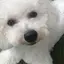 yuiのプロフィール画像