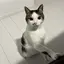 sayakaのプロフィール画像
