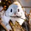 つるこのプロフィール画像