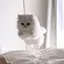 みさきのプロフィール画像