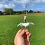 ラニーのプロフィール画像