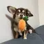 じゃっくのプロフィール画像