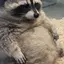ゆきのプロフィール画像