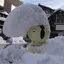 きまちゃんのプロフィール画像