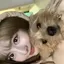 sssのプロフィール画像