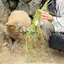 るのプロフィール画像