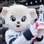 Mariのプロフィール画像