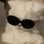 ふくのプロフィール画像