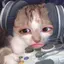あちゃんのプロフィール画像