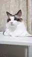 ゆっきーのプロフィール画像