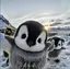 まちゃんのプロフィール画像