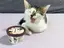 まめあずのプロフィール画像