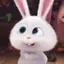 みかぴまるのプロフィール画像