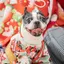 モカのプロフィール画像