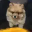 ソラちのプロフィール画像