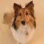 なーのプロフィール画像